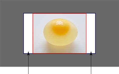 Background Fit HTML CSS 的图像结果