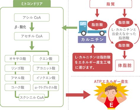 Image result for Trade Finance Management System Using Java Source Code