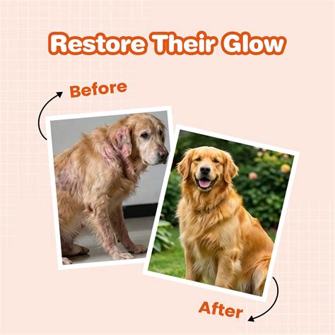 Vetonnix Skin & Coat Oral Spray Supplement for Dogs & Cats | Shiny Fur ...