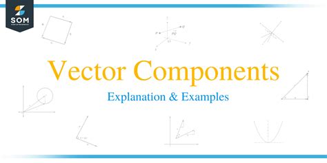 Vector Components 的图像结果