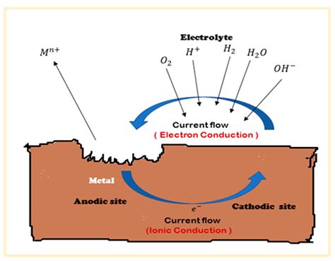 Electrochemical Corrosion Test at Jimmy Lewis blog