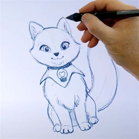 Arctic Fox Drawing Step By Step