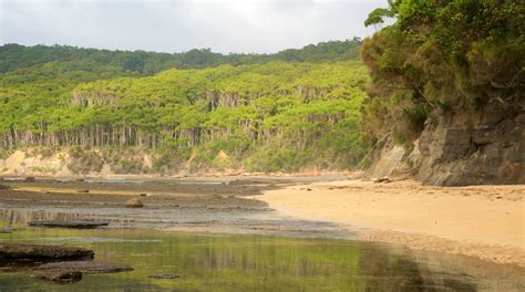 Image result for Script Reader