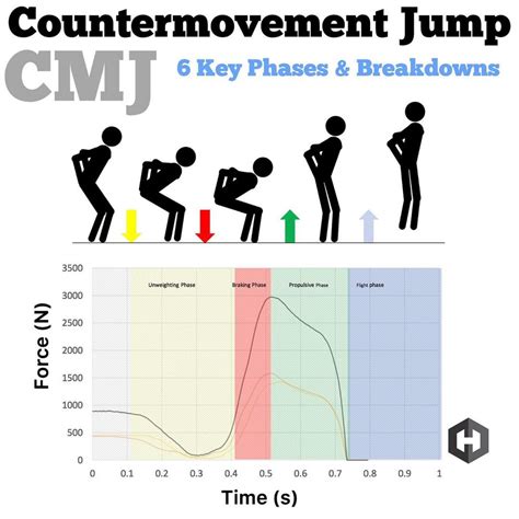 Vertical Jump Phases
