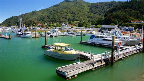 Havelock holiday homes: holiday houses & more | Bookabach