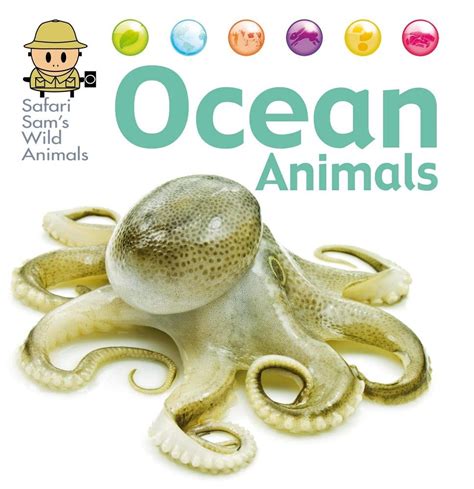 Ocean Animals (Safari Sam's Wild Animals) : Smart Apple Media, West ...