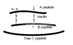 Refer to the diagram given below and answer the questions that follows ...