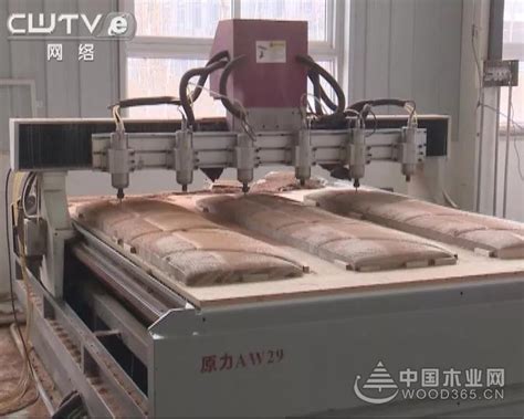 菏泽成武县拉长产业链 打造木材加工特色产业-中国木业网