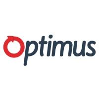 Optims Software 的图像结果