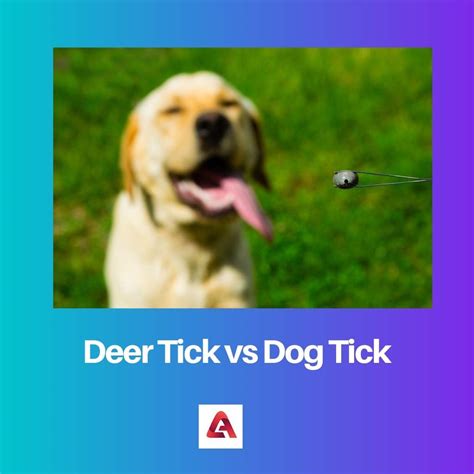 Deer Tick vs Dog Tick: Difference and Comparison