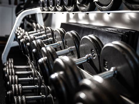 Gym Dumbbells 的图像结果