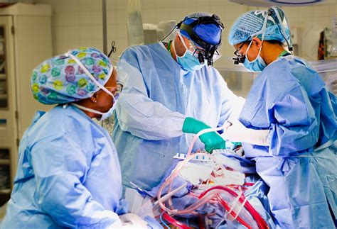 Northwell cardiothoracic programs recognized for superior quality ...