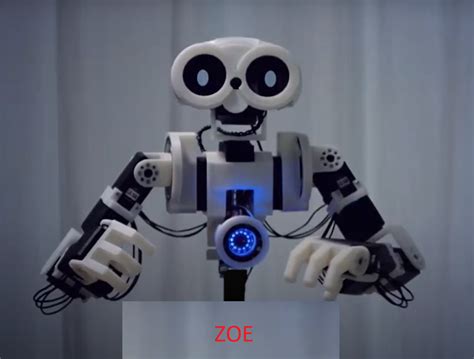 Cog Project 的图像结果