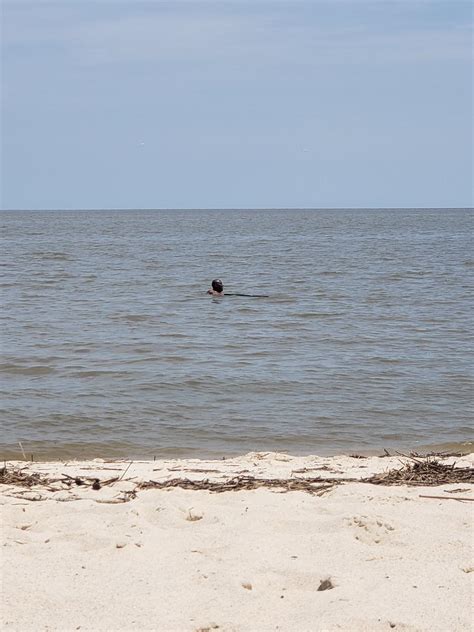 Best Beaches in Waveland - Sandee