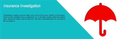 Spyagency Investigation - India Leading Insurance and Fraud Investigators