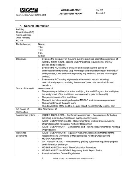 Audit Report Example 的图像结果