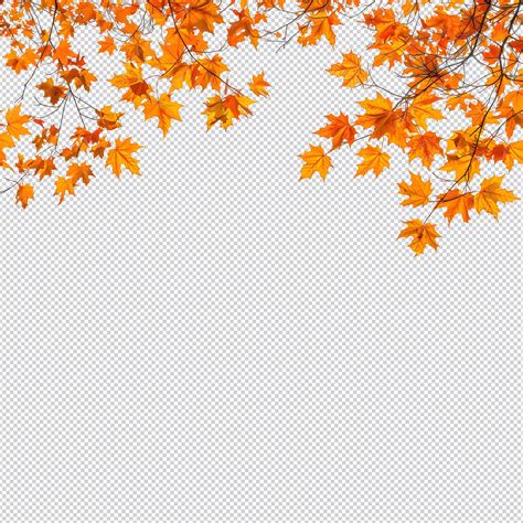 Autumn leaves on a transparent background | Premium AI-generated PSD