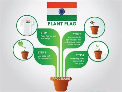 Seed Paper National Flag -50 Nos Rectangle Shape with PIN – Seed Paper ...