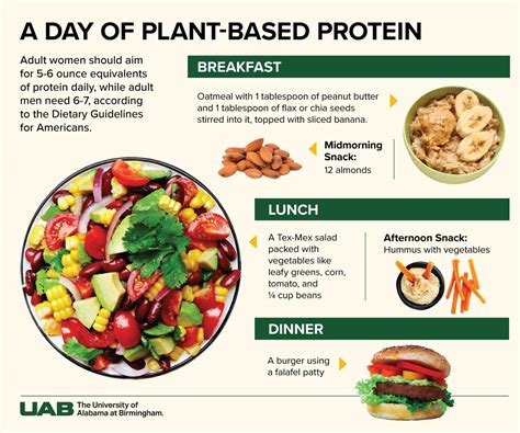 Protein perks: The health & budget benefits of plant-based protein