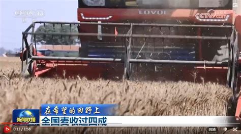【在希望的田野上】全国麦收过四成-新闻-北国网
