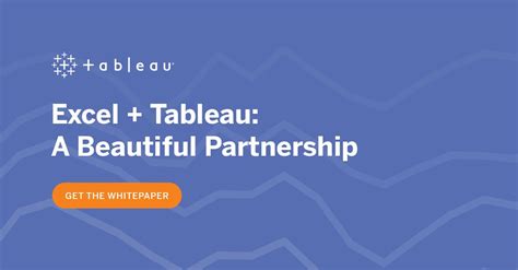 Tableau Partnership Program 的图像结果