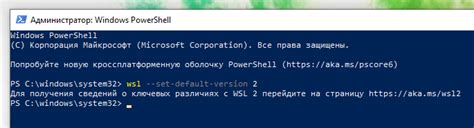 Установка и настройка ботнета — Teletype