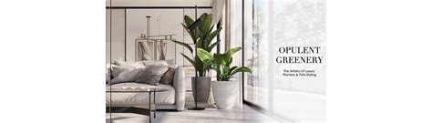 Luxury Indoor & Outdoor Planters & Pots for Homes & Offices | Spacio