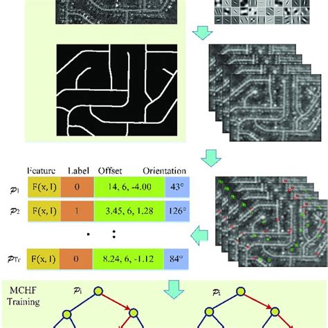 Training Process Flowchart 的图像结果