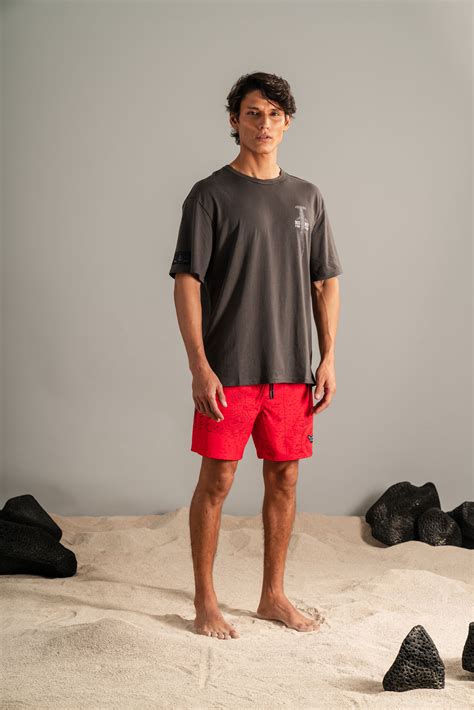 CAMISETA HOLGADA MANDÍBULA GRIS – Darwin and Wolf