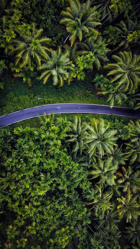 Person 的图像结果