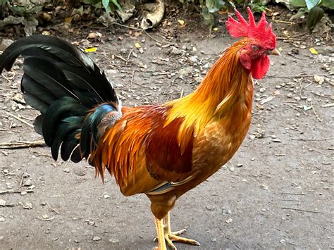 ALOHA MAUI TOURS (2026) All You Need to Know BEFORE You Go (with Photos ...