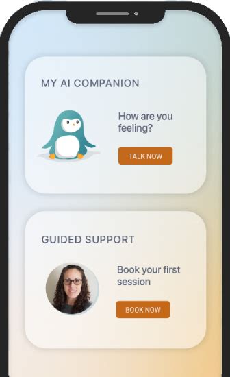 Local Chatbot Companion 的图像结果