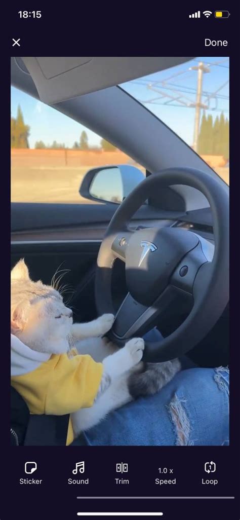 Image result for Video Loop Software