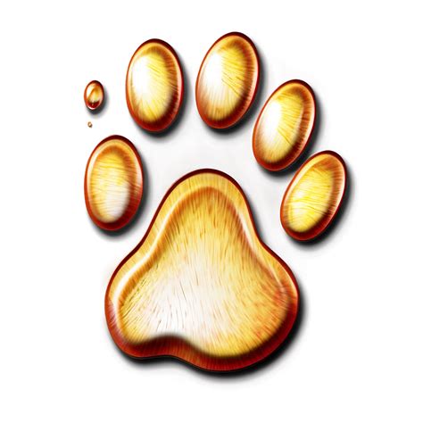 Download Paw Print Transparent Background Png 99 | Wallpapers.com