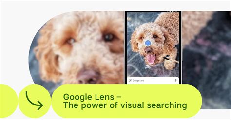 Google Visual Search 的图像结果