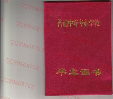 2001年辽宁高中毕业证填写Word模板下载_编号qvjemedw_熊猫办公