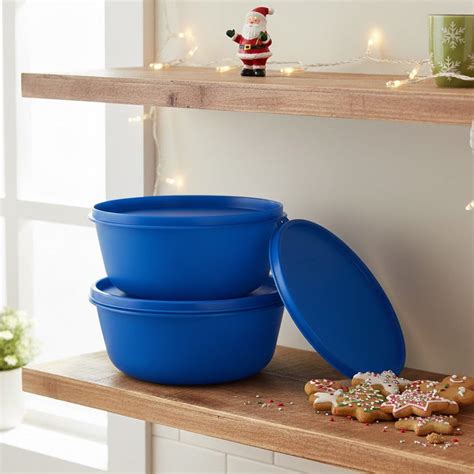 Tupperware 1.5L SS Bowl | Airtight Liquid-Tight Storage with Round Seal ...