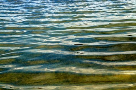 Image result for Ocean Wave Reflection