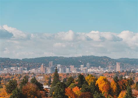 503 Area Code 的图像结果