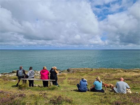 Connecting with nature - A Guided Wellness Walk and Sauna, Tyn Tywyn ...