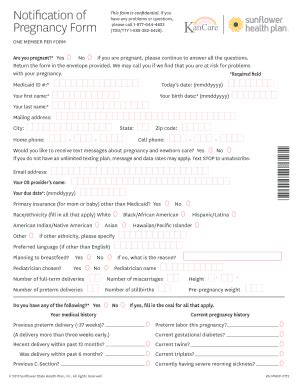 Pregnancy Form - Blank Fillable Template | Fill Out, Print & Download ...