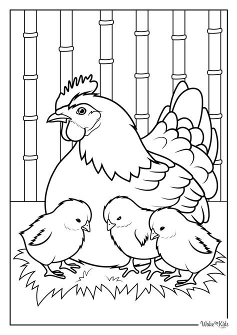 Chicken Coloring Pages