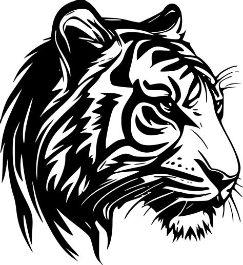 Tiger Vector 的图像结果