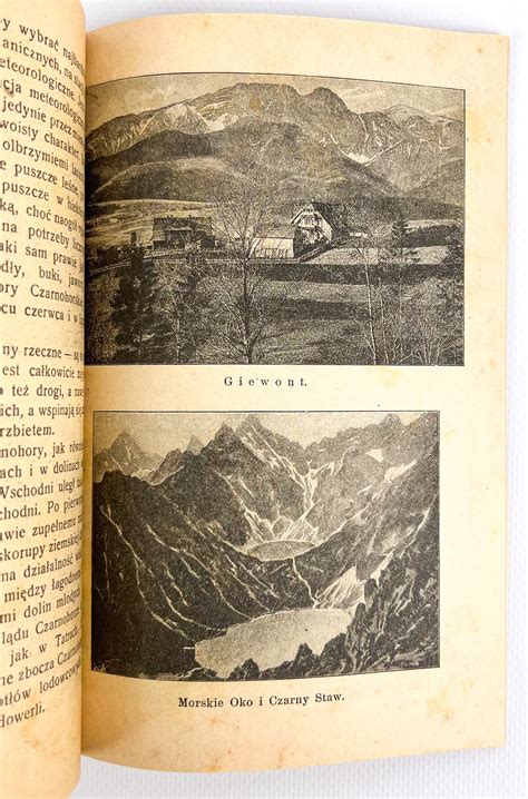 REGINA FLESZAROWA - NASZE GÓRY - WARSZAWA 1919 - Aukcja internetowa / Licytacja online - Cena ...