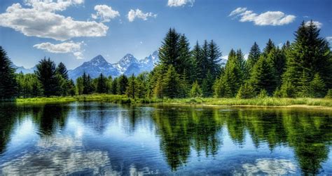 Image result for Colorado O2 Sensor Bank One