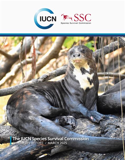 Image result for Ecosystem Approach