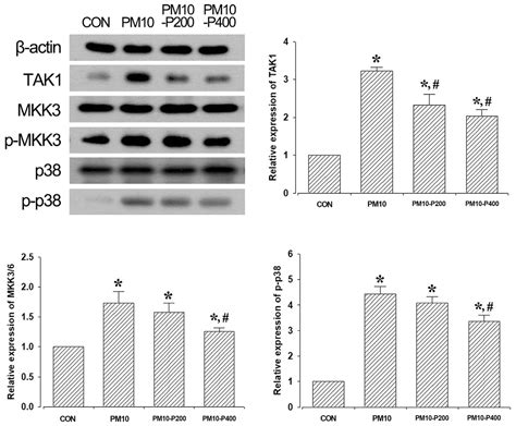 Pirfenidone Alleviates Against Fine Particulate Matter-Induced ...