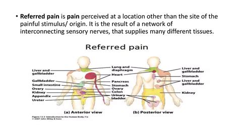 Gallbladder Referred Pain