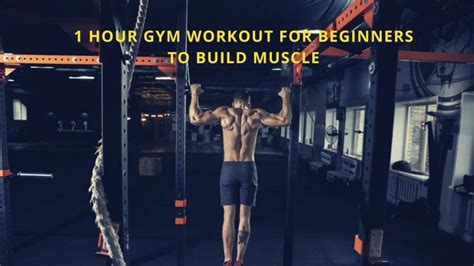 Image result for 1 Hour Workout Routine