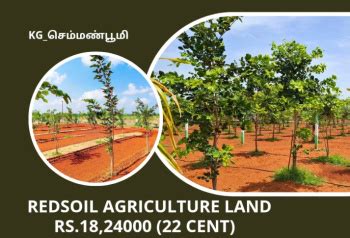 Agricultural/Farm Land for Sale in Pondicherry,
